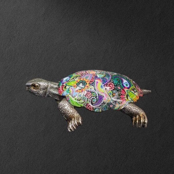 Colorful Tortoise