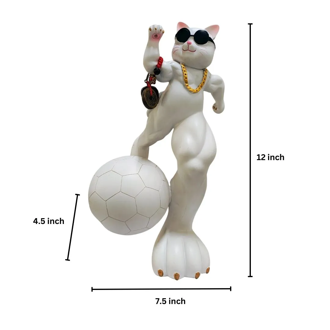 Cool Cat Showpiece Dimension