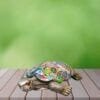 Tortoise Vastu