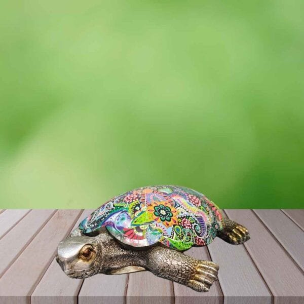 Tortoise Vastu